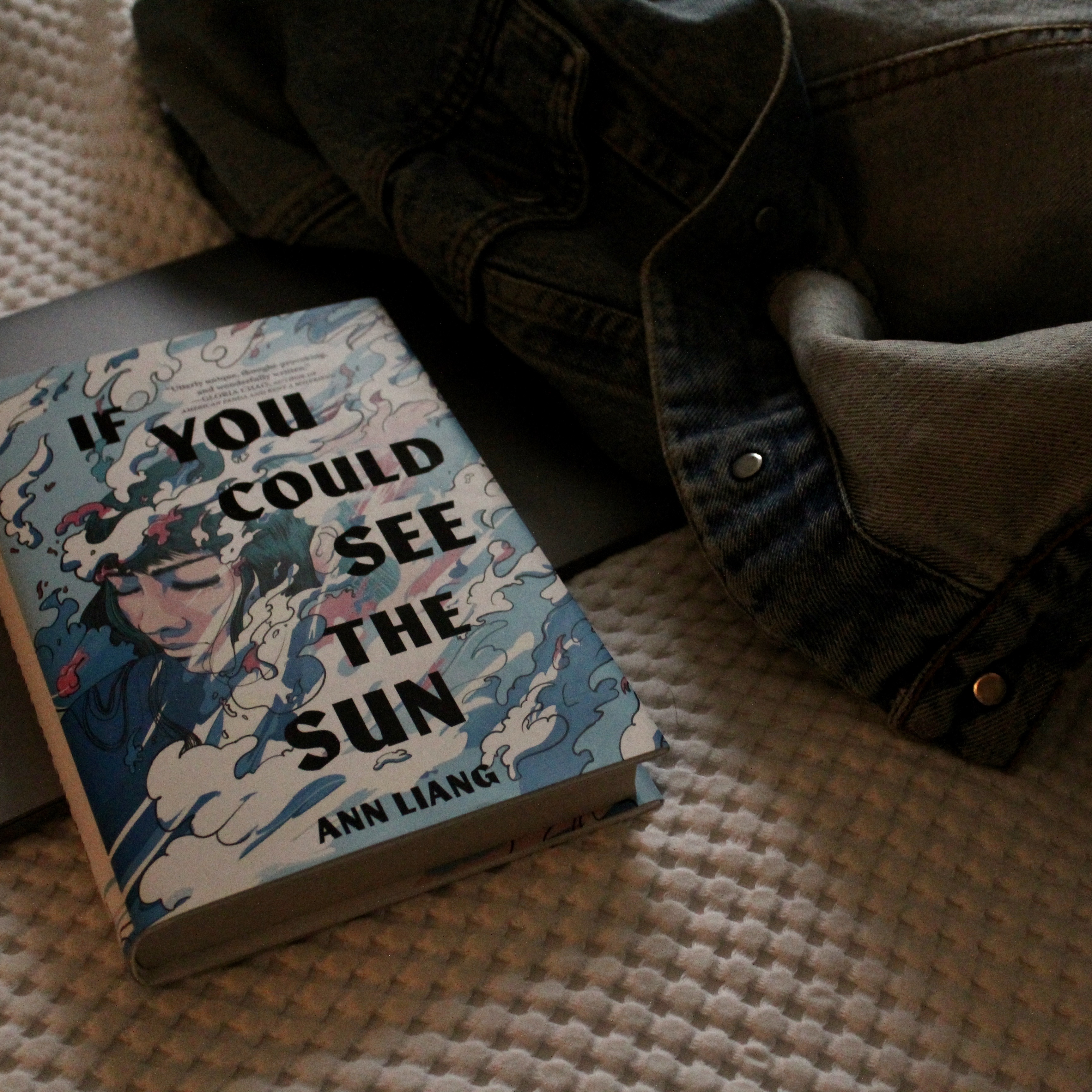 If You Could See the Sun – Ann Liang