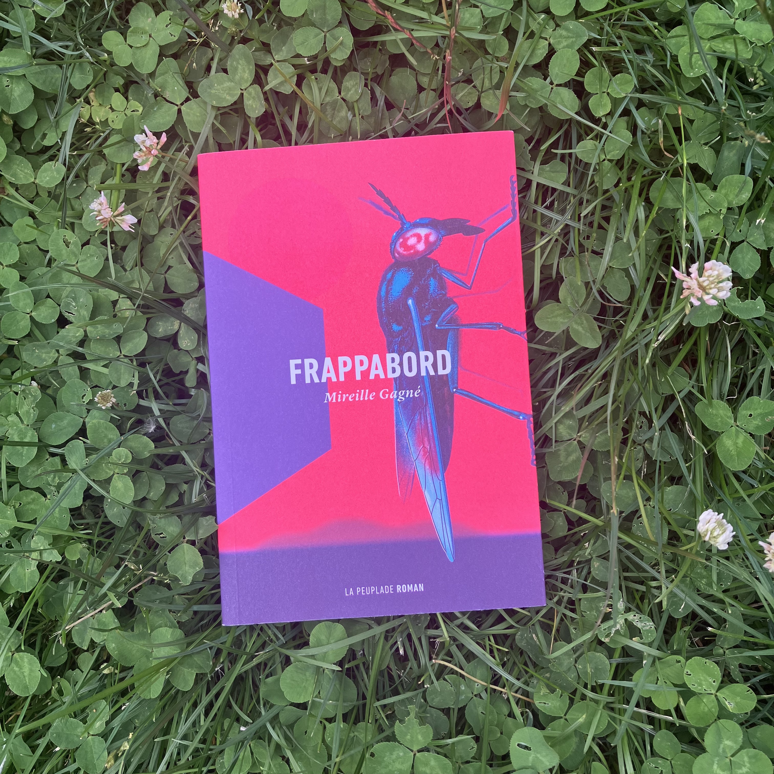 Frappabord – Mireille Gagné