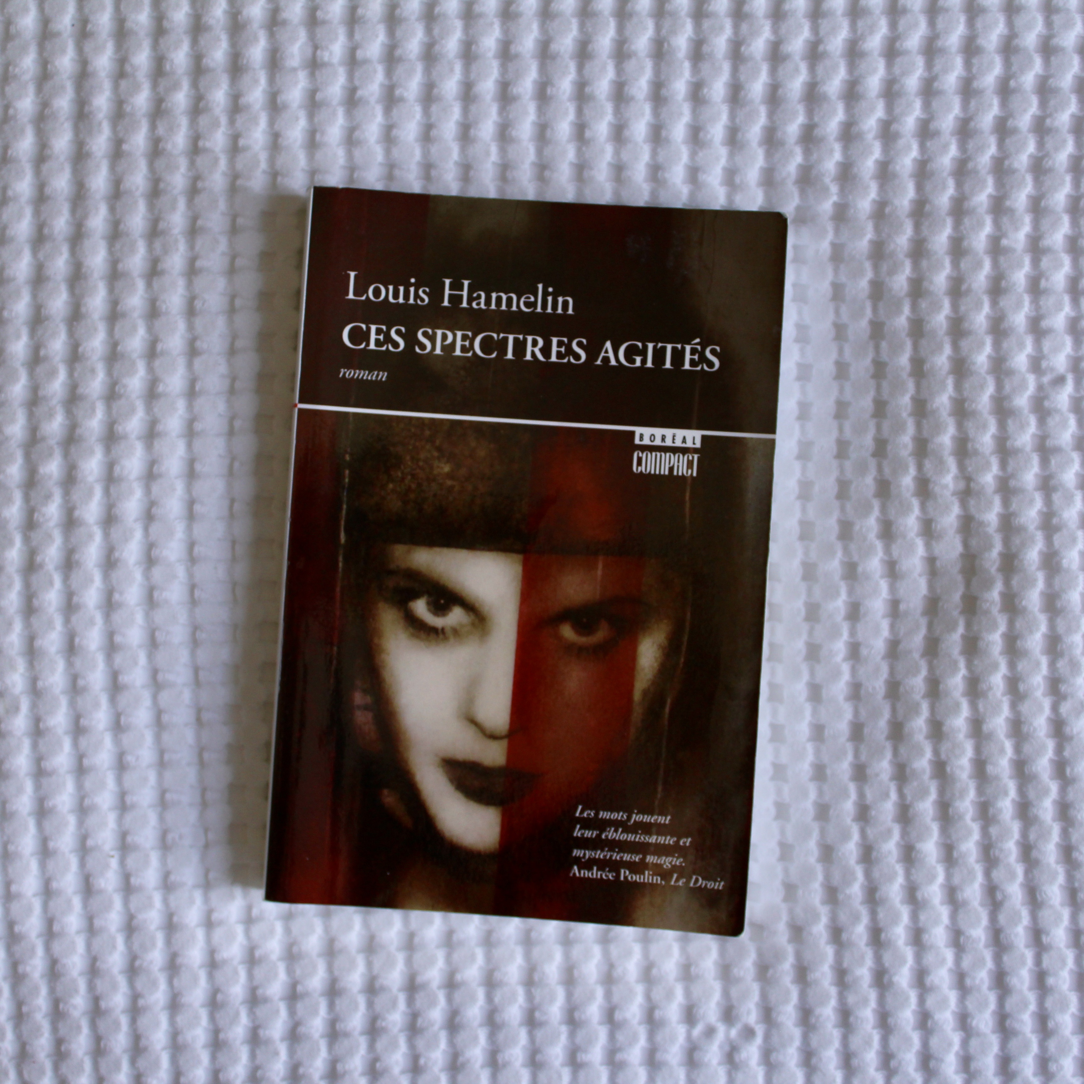 Ces Spectres Agités – Louis Hamelin